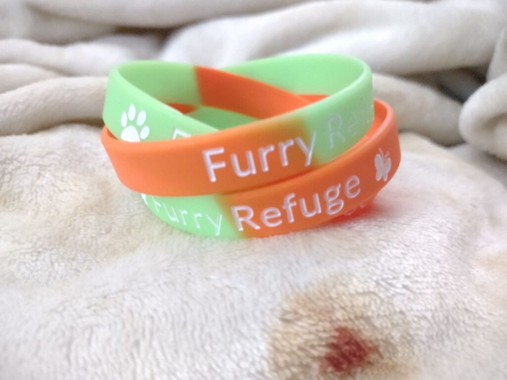 Furry Refuge Pride Gummi Bracelet