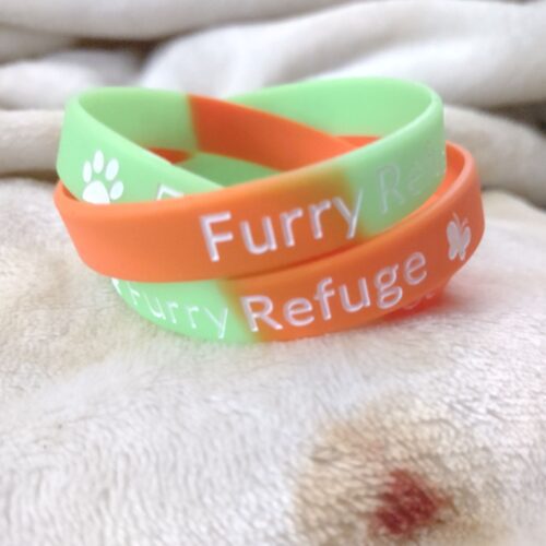 Furry Refuge Pride Gummi Bracelet