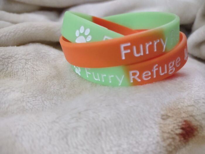 Furry Refuge Gummi Wristband Bracelet - Image 2