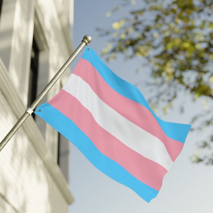 Transgender Pride Double-Sided Flag | LGBTQ+ Decor, Outdoor Flag, Home & Garden, Pride Celebrations, Activism - Image 8