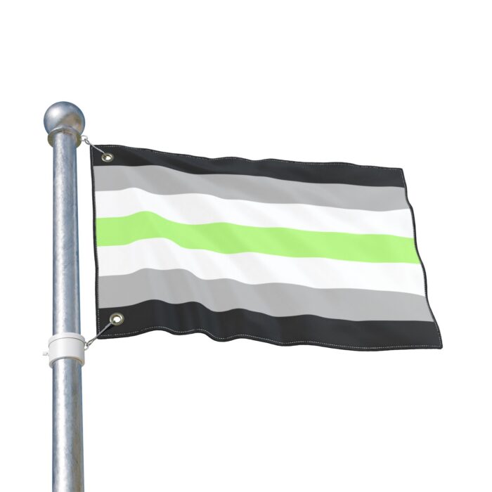 Agender Pride Double-Sided Flag | LGBTQ+ Decor, Outdoor Flag, Home & Garden, Pride Celebrations, Activism - Image 3