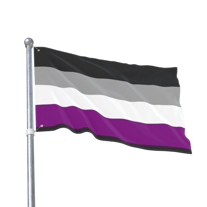 Asexual Pride Double-Sided Flag | LGBTQ+ Decor, Outdoor Flag, Home & Garden, Pride Celebrations, Activism - Image 7