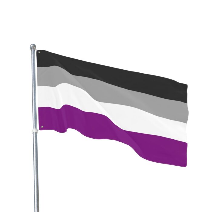 Asexual Pride Double-Sided Flag | LGBTQ+ Decor, Outdoor Flag, Home & Garden, Pride Celebrations, Activism - Image 11