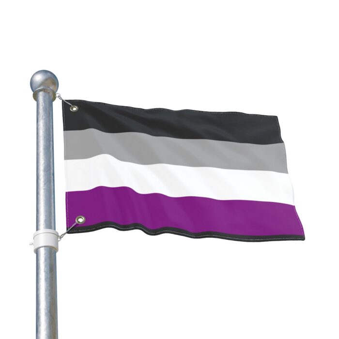 Asexual Pride Double-Sided Flag | LGBTQ+ Decor, Outdoor Flag, Home & Garden, Pride Celebrations, Activism - Image 3