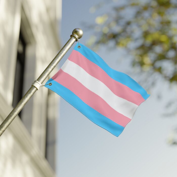 Transgender Pride Double-Sided Flag | LGBTQ+ Decor, Outdoor Flag, Home & Garden, Pride Celebrations, Activism - Image 4