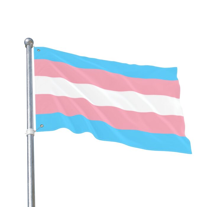 Transgender Pride Double-Sided Flag | LGBTQ+ Decor, Outdoor Flag, Home & Garden, Pride Celebrations, Activism - Image 7