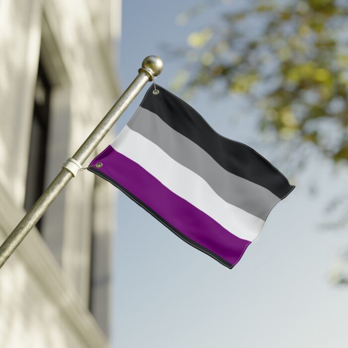Asexual Pride Double-Sided Flag | LGBTQ+ Decor, Outdoor Flag, Home & Garden, Pride Celebrations, Activism - Image 4
