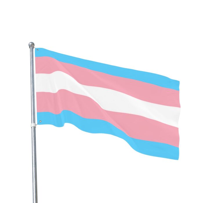 Transgender Pride Double-Sided Flag | LGBTQ+ Decor, Outdoor Flag, Home & Garden, Pride Celebrations, Activism - Image 11