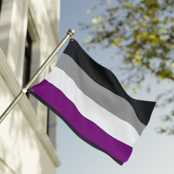 Asexual Pride Double-Sided Flag | LGBTQ+ Decor, Outdoor Flag, Home & Garden, Pride Celebrations, Activism - Image 8
