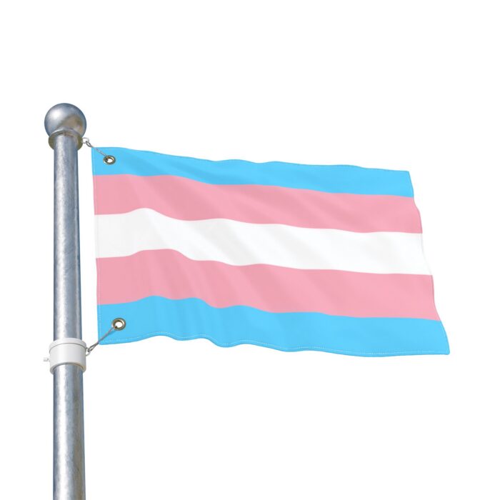 Transgender Pride Double-Sided Flag | LGBTQ+ Decor, Outdoor Flag, Home & Garden, Pride Celebrations, Activism - Image 3